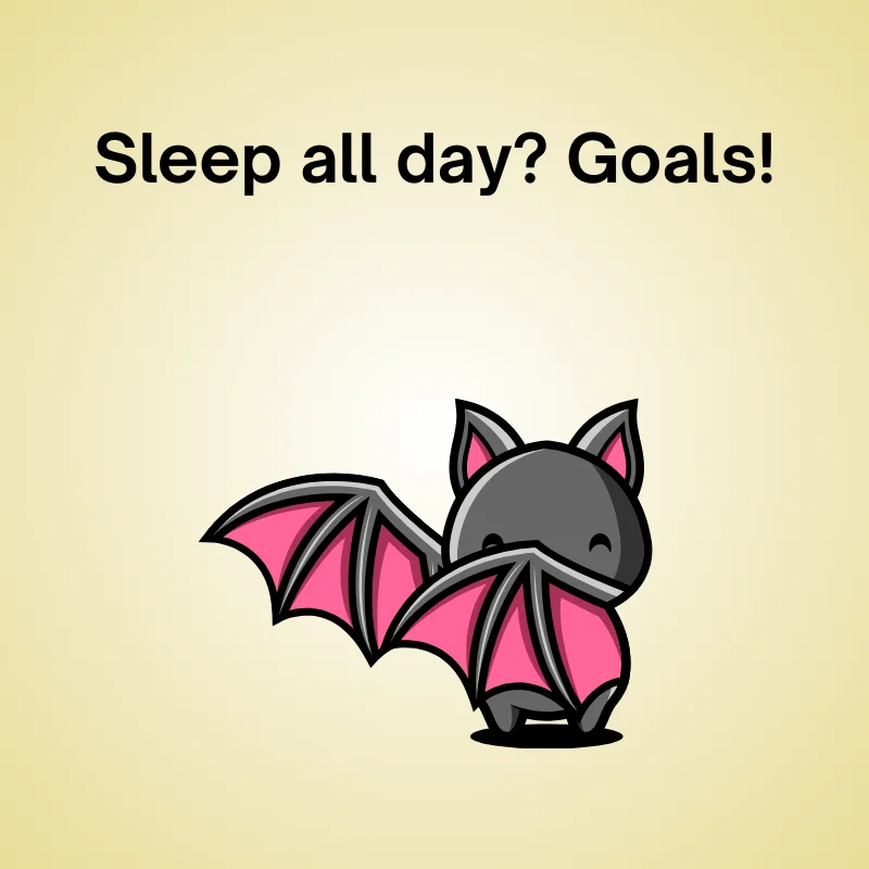 Bat in a funny joke: 'Sleep all day? Goals!'