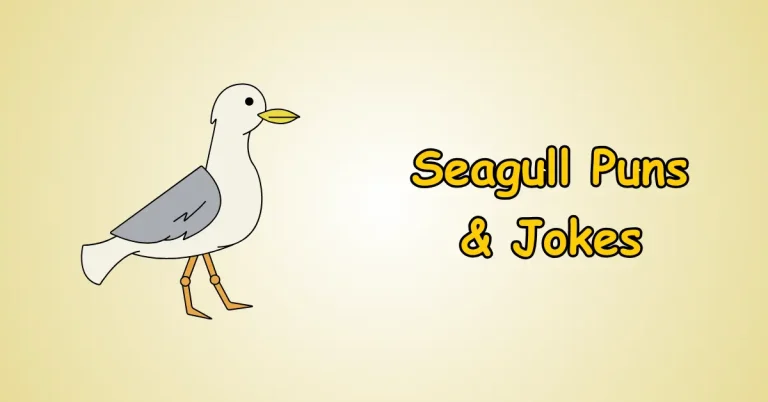 Seagull Puns and Jokes