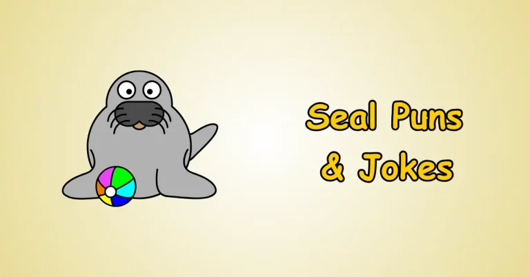 Seal Puns and Jokes
