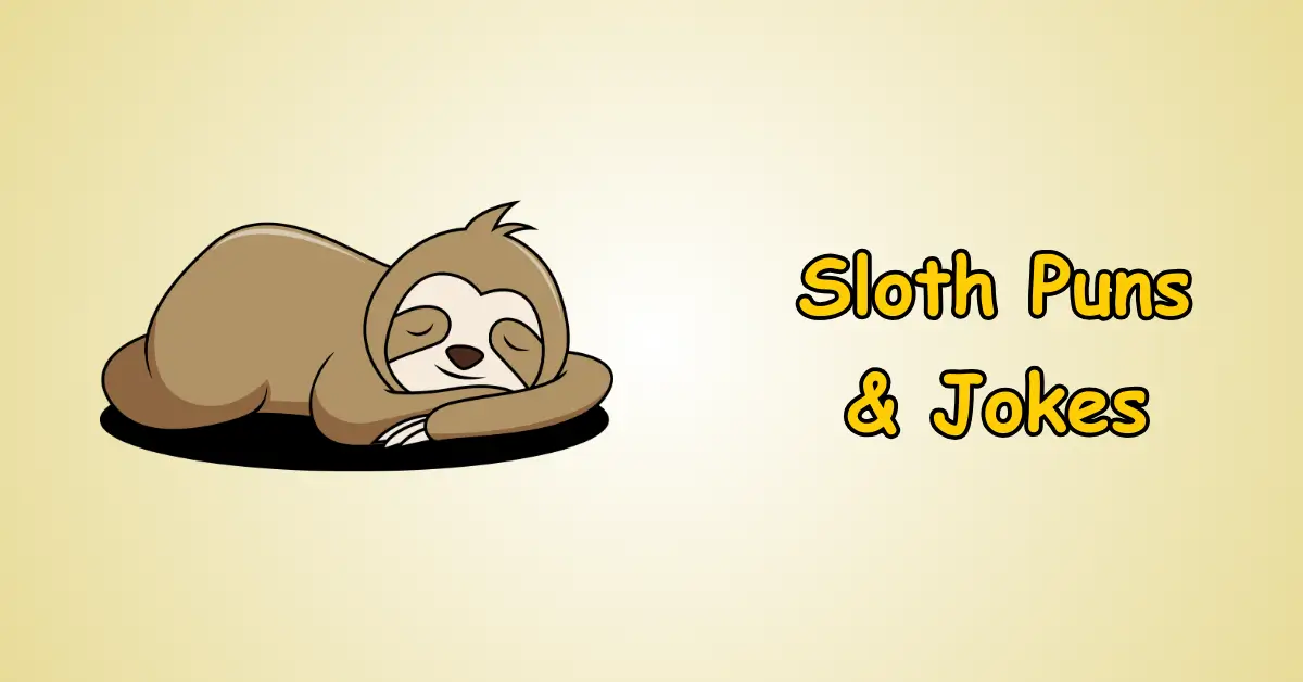 Sloth Puns and Jokes