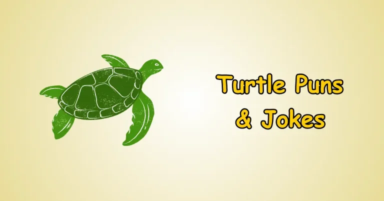 Turtle Puns and Jokes