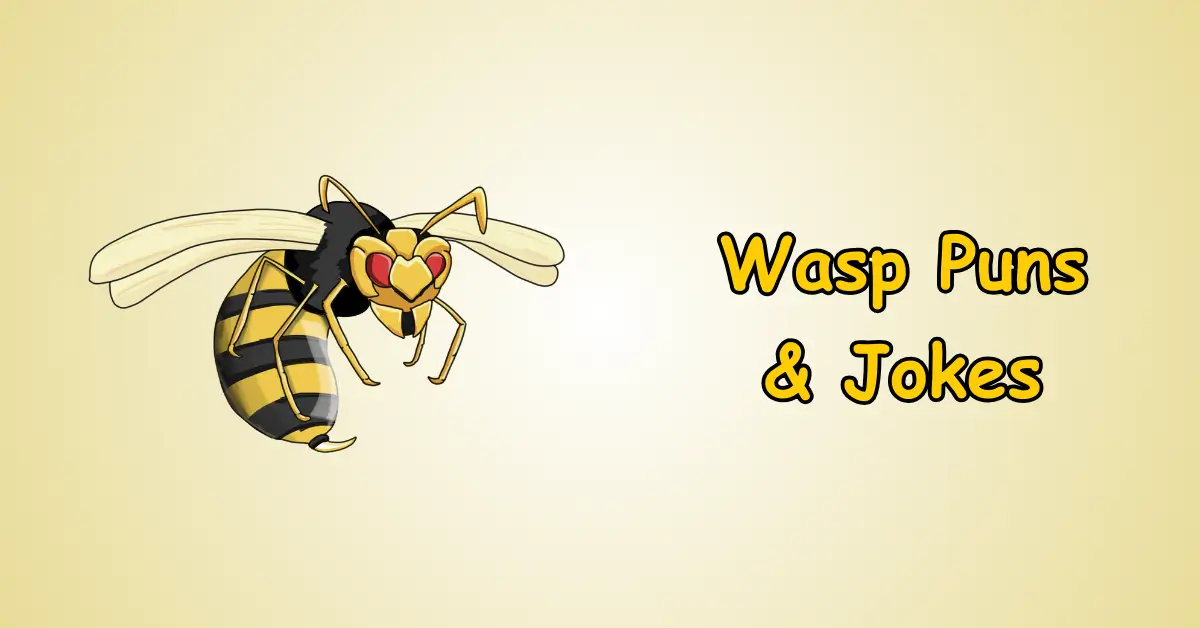 Wasp Puns and Jokes