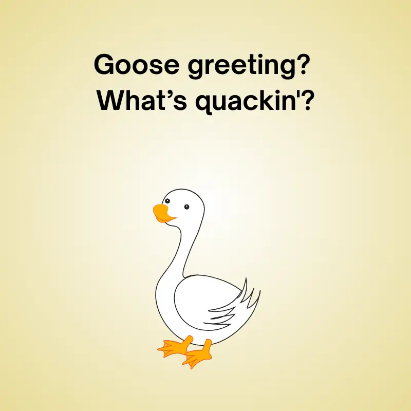 Goose joke illustration: 'Goose greeting? "What’s quackin'?"'