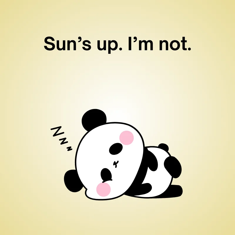 Sleeping panda with 'Z's above, captioned 'Sun’s up. I’m not.' — a morning joke.