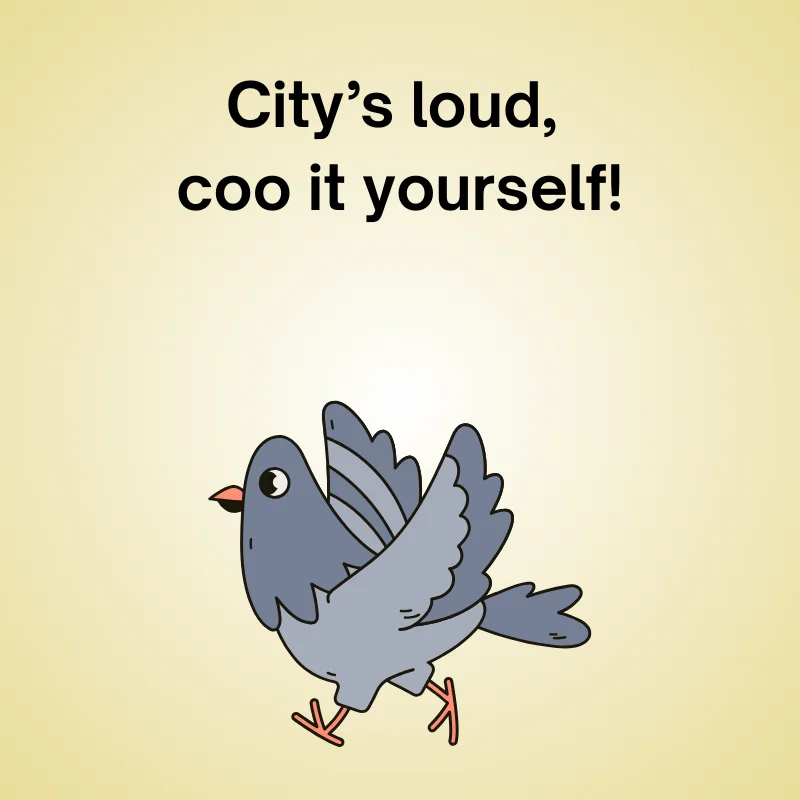 Funny pigeon joke: 'City’s loud—coo it yourself!'