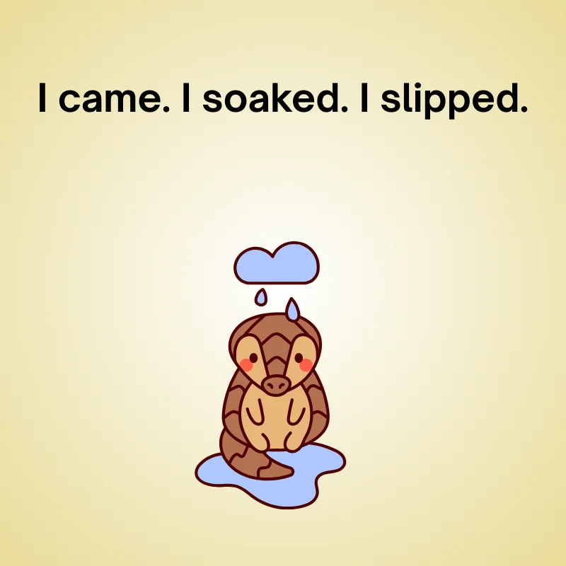 Illustration of rain with joke: 'I came. I soaked. I slipped.'