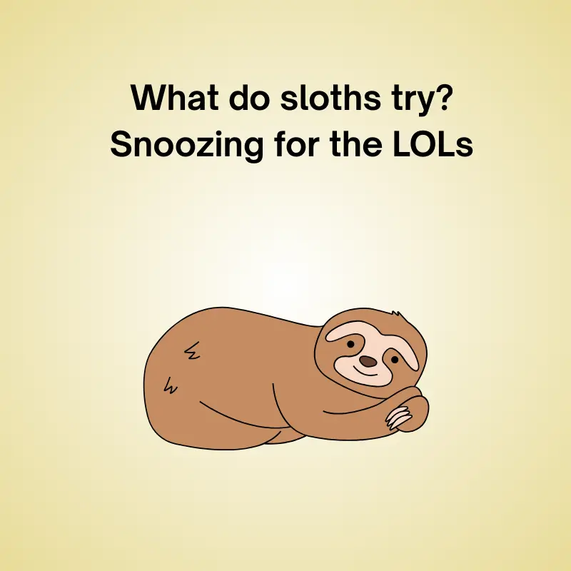 Pun with a sloth: 'What do sloths try? Snoozing for the LOLs.