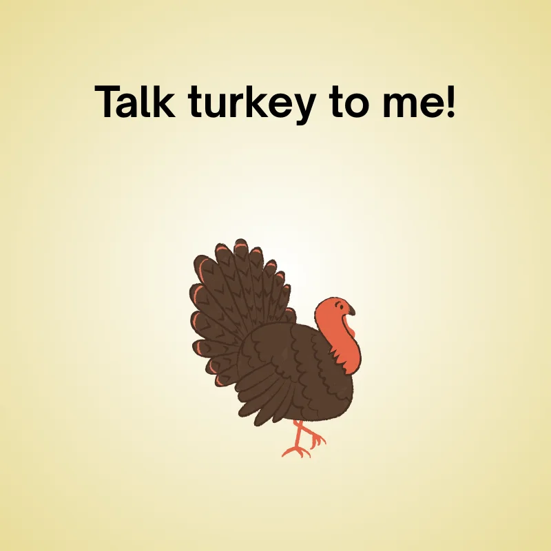Thanksgiving pun illustration: 'Talk turkey to me!'