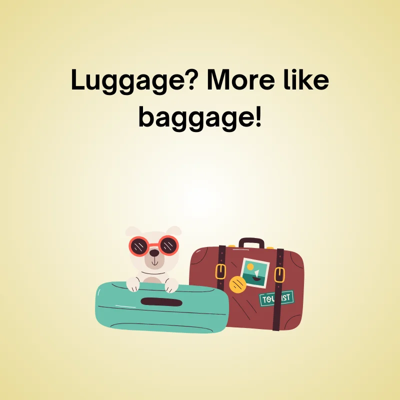 Funny travel joke: 'Luggage? More like baggage!'