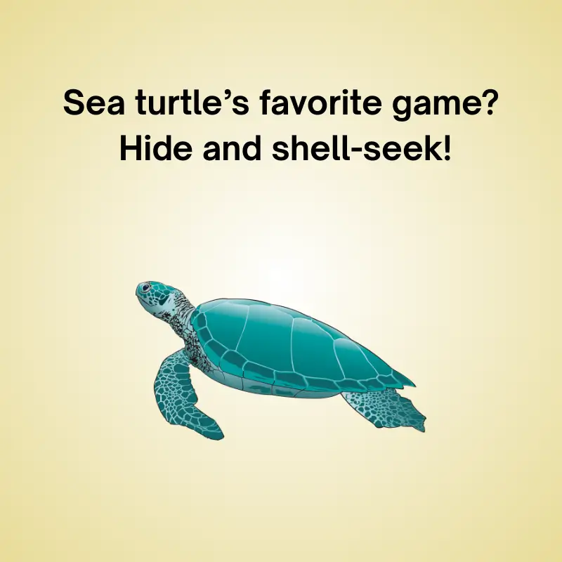 Joke illustration of a turtle: 'Sea turtle’s favorite game? Hide and shell-seek!'