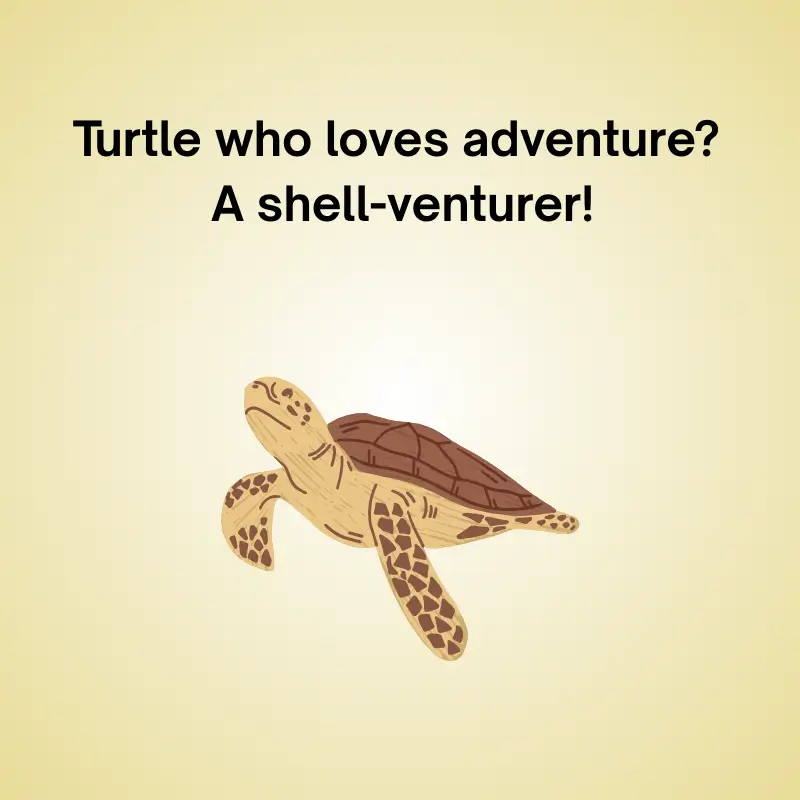 Joke image with turtle: 'Turtle who loves adventure? A shell-venturer!'