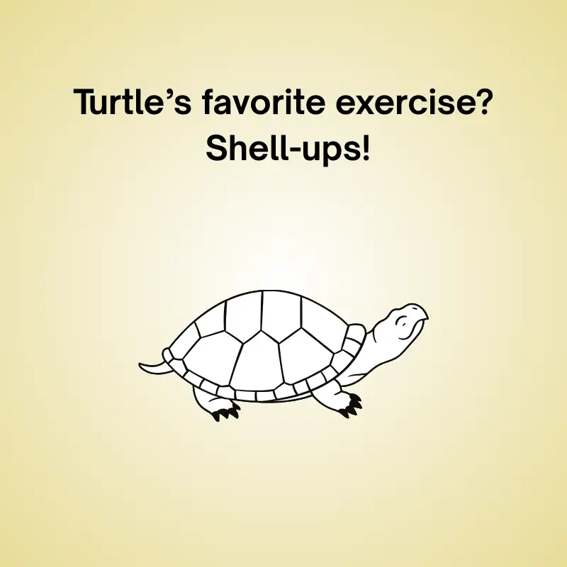 Funny pun featuring turtle: 'Turtle’s favorite exercise? Shell-ups!'