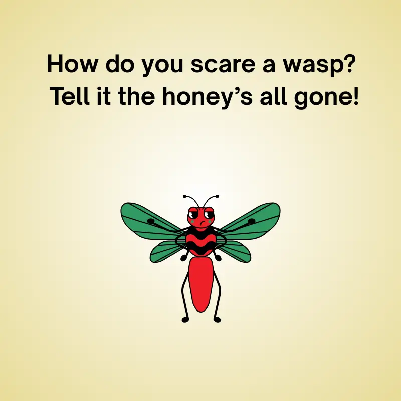 Joke image with wasp: 'How do you scare a wasp? Tell it the honey’s all gone!'