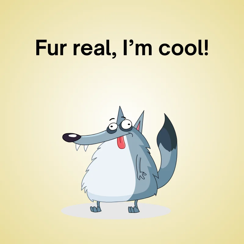 Wolf joke illustration: 'Fur real, I’m cool!'