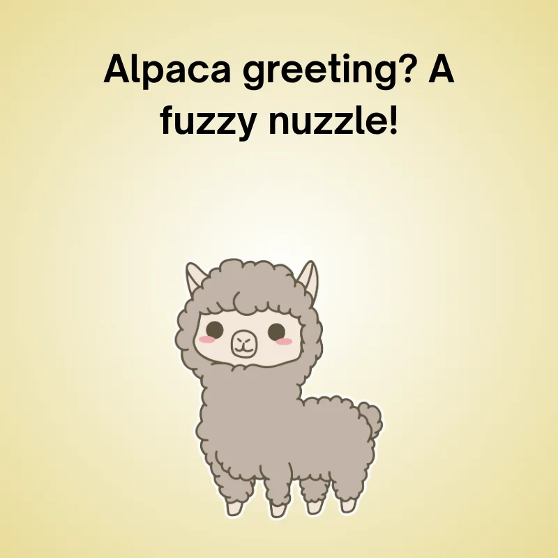 Alpaca joke illustration: 'Alpaca greeting? A fuzzy nuzzle!'