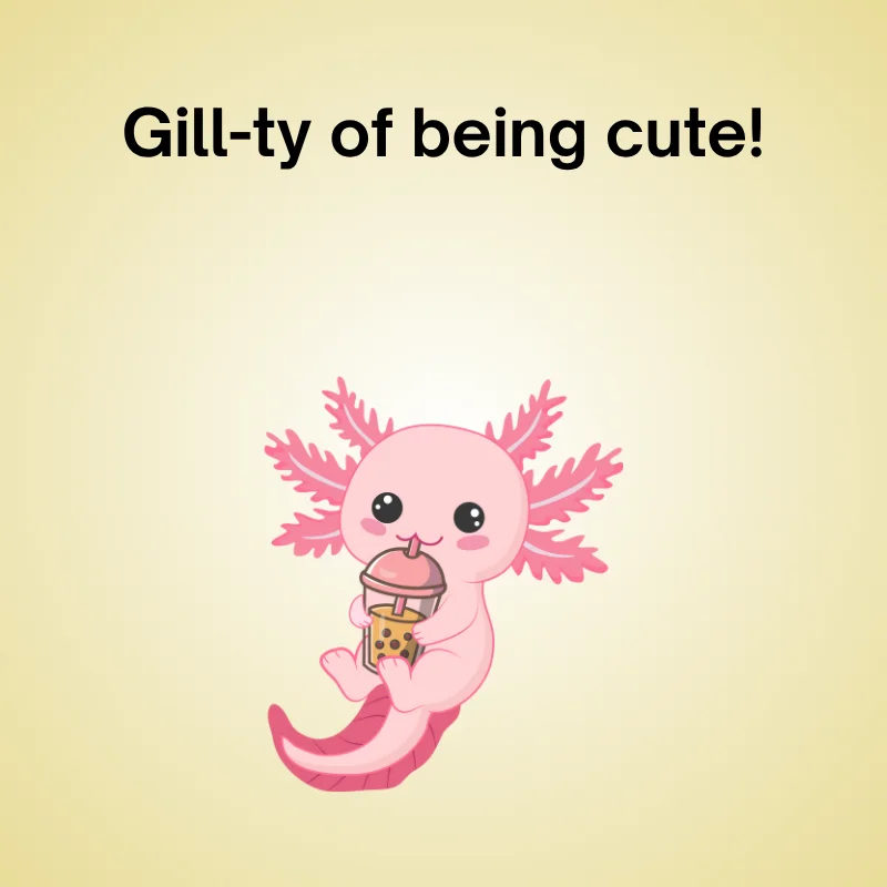 Axolotl pun illustration: 'Gill-ty of being cute!'