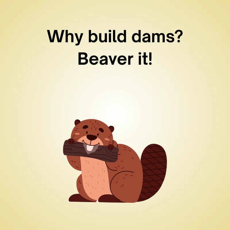 Beaver joke illustration 'Why build dams? Beaver it!'