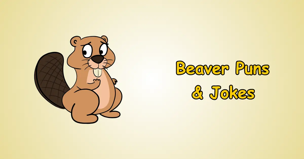 Beaver Puns and Jokes
