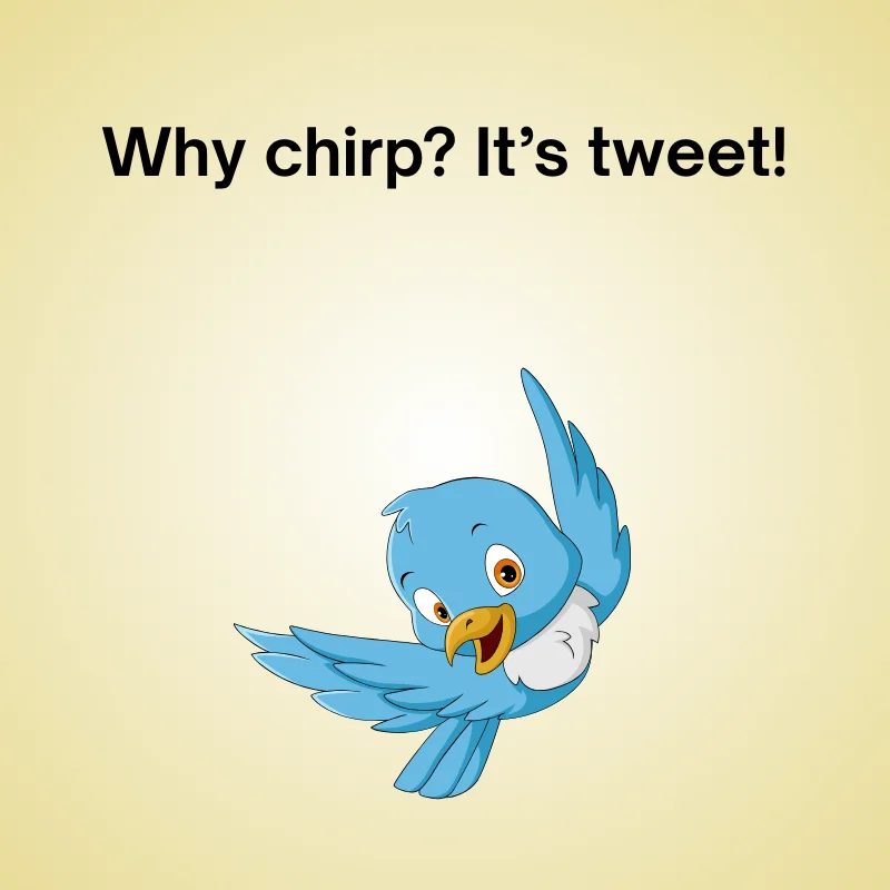 Bird joke illustration: 'Why chirp? It’s tweet!'