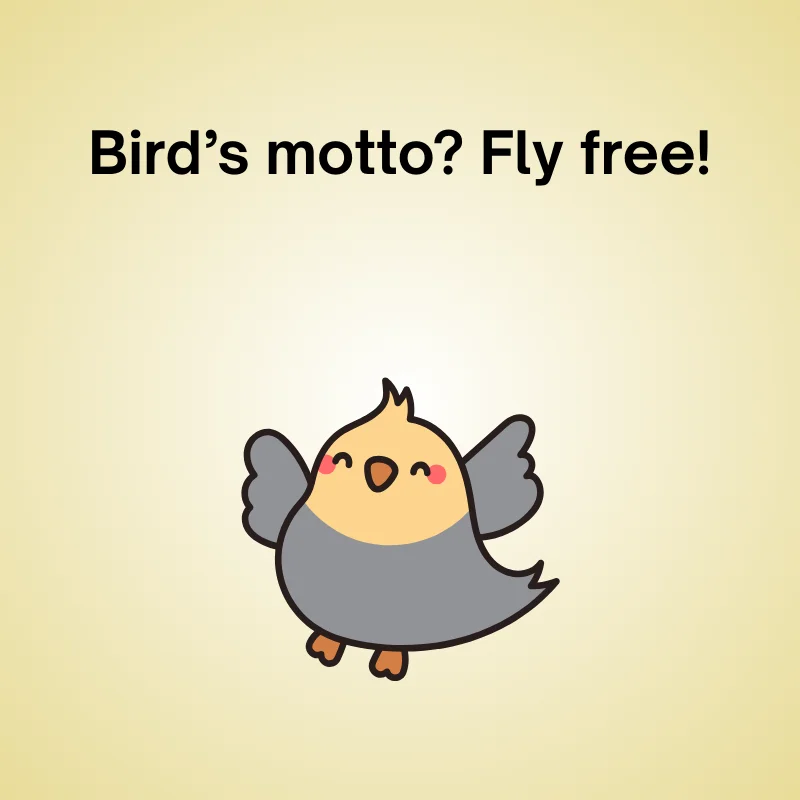 Funny bird joke: 'Bird’s motto? Fly free!'