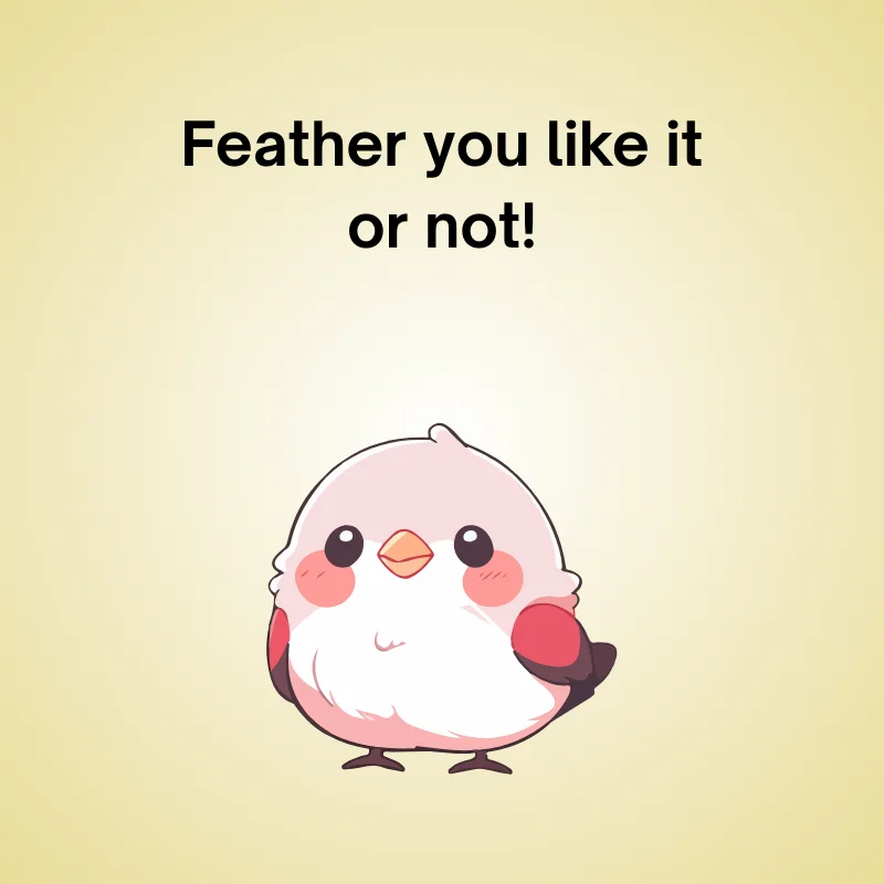 Cute bird pun illustration: 'Feather you like it or not!'