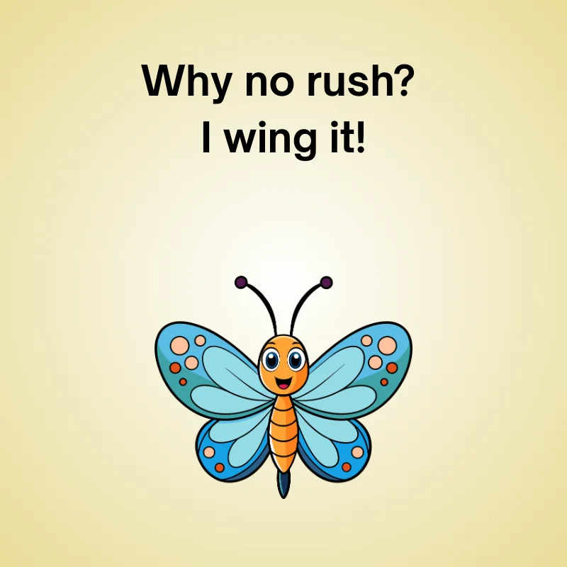 Illustration of butterfly with joke: 'Why no rush? I wing it!'