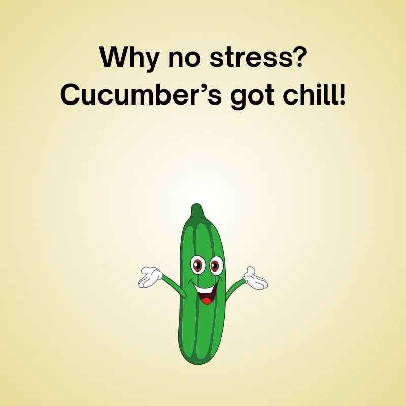 Cucumber joke illustration: 'Why no stress? Cucumber’s got chill!'