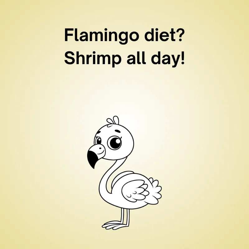 Illustration of flamingo with joke: 'Flamingo diet? Shrimp all day!'