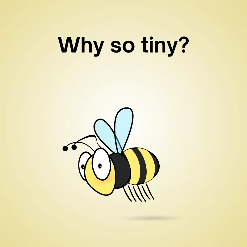 Fly joke illustration: 'Why so tiny?'