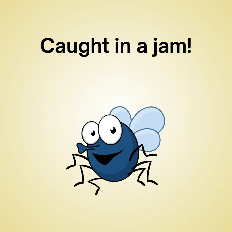 Fly in a funny joke: 'Caught in a jam!'