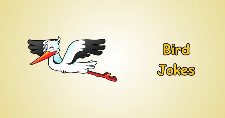 Bird Jokes