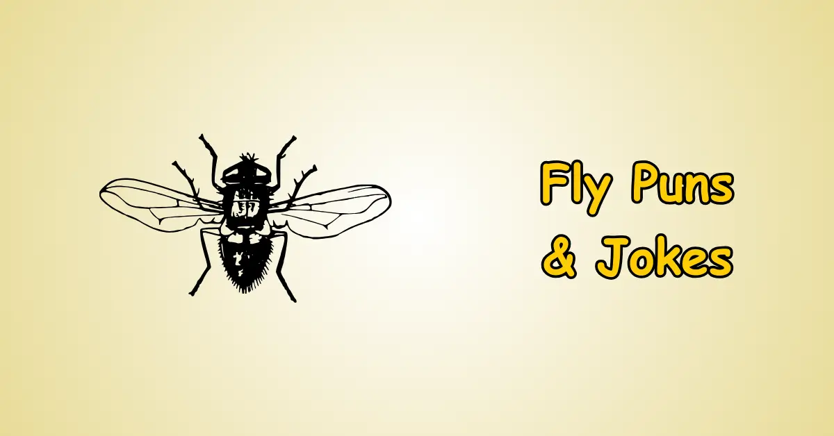 Fly Puns and Jokes