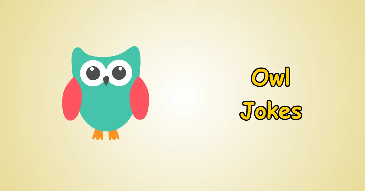 Owl Jokes