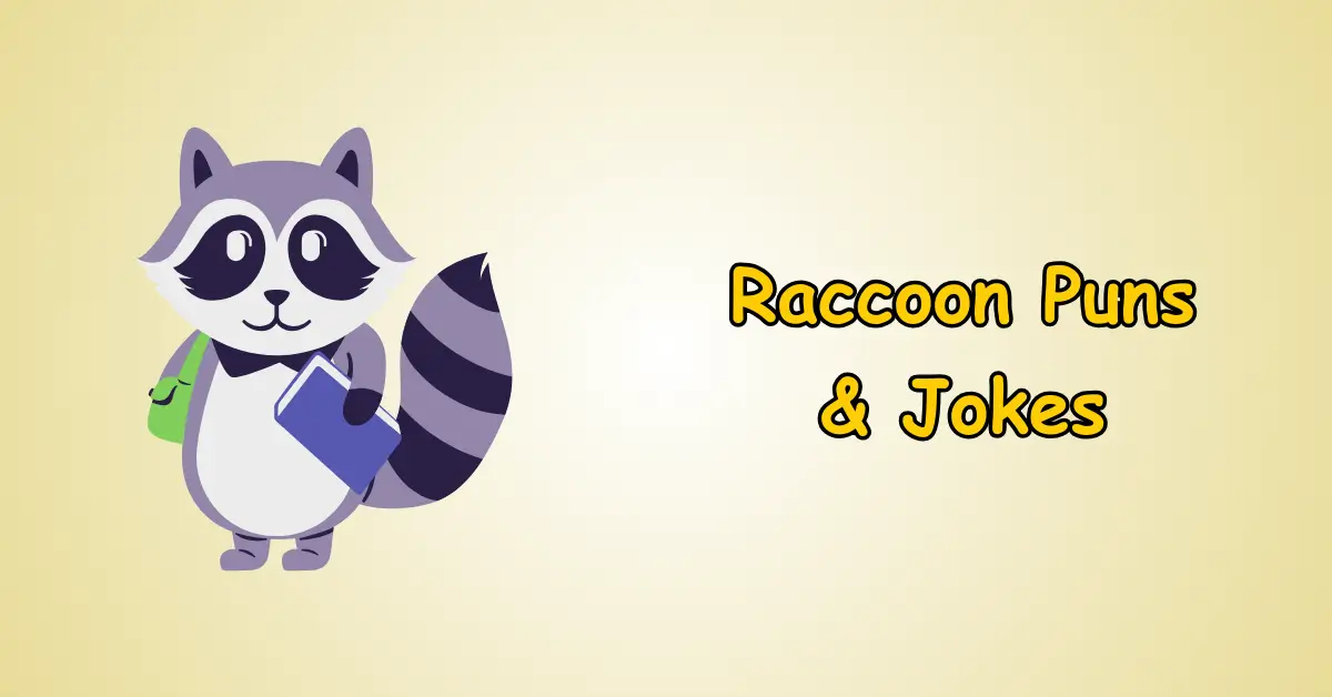 Raccoon Puns and Jokes