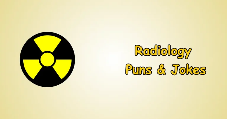 Raccoon Puns and Jokes