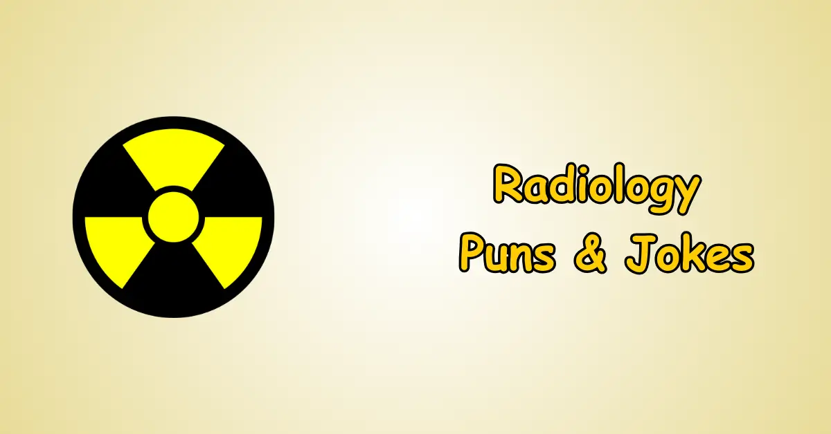 Raccoon Puns and Jokes