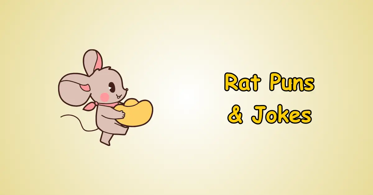 Rat Puns and Jokes