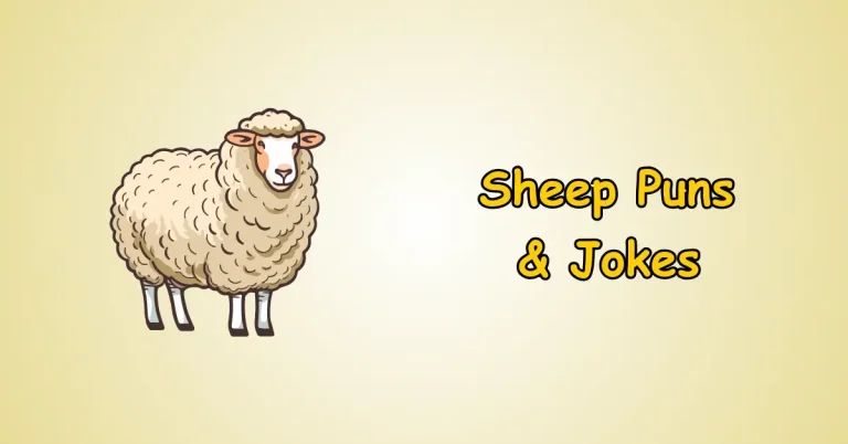 Sheep Puns and Jokes