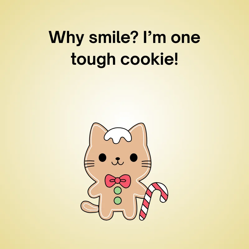 Funny gingerbread joke illustration: 'Why smile? I’m one tough cookie!'