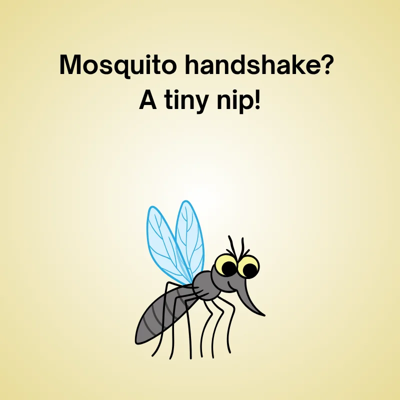 Mosquito joke illustration: 'Mosquito handshake? A tiny nip!'