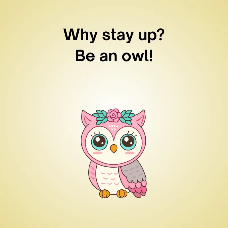 Cute owl joke illustration: 'Why stay up? Be an owl!'