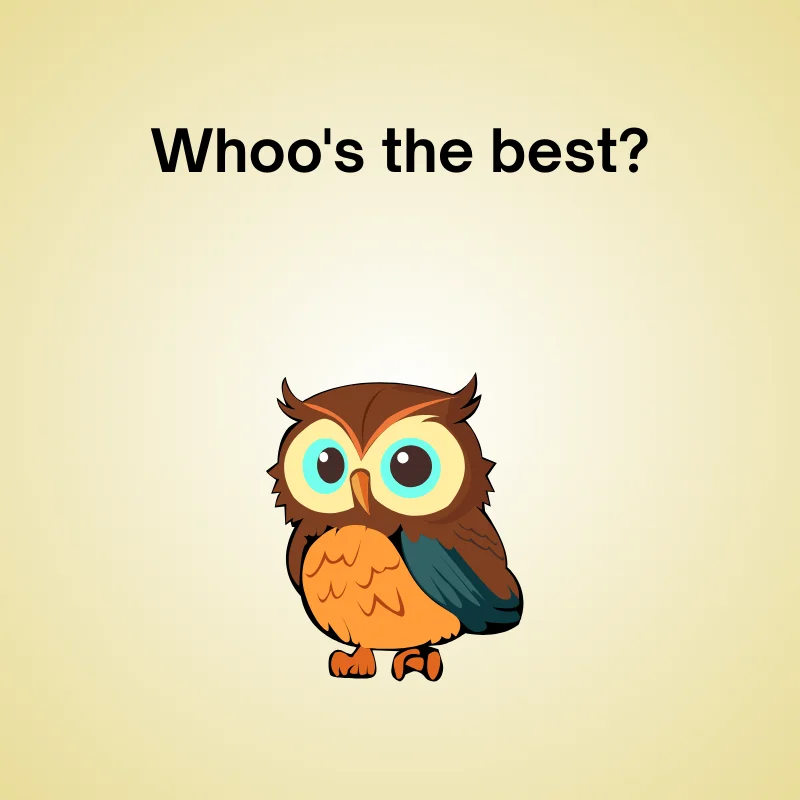 Owl pun illustration: 'Whoo's the best?'