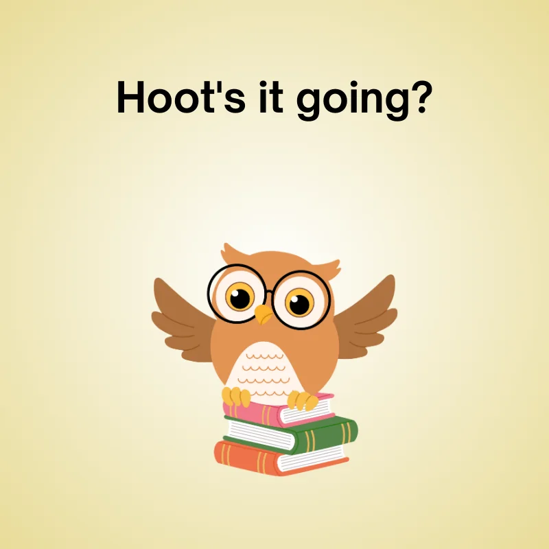 Illustration of owl with caption: 'Hoot's it going?'