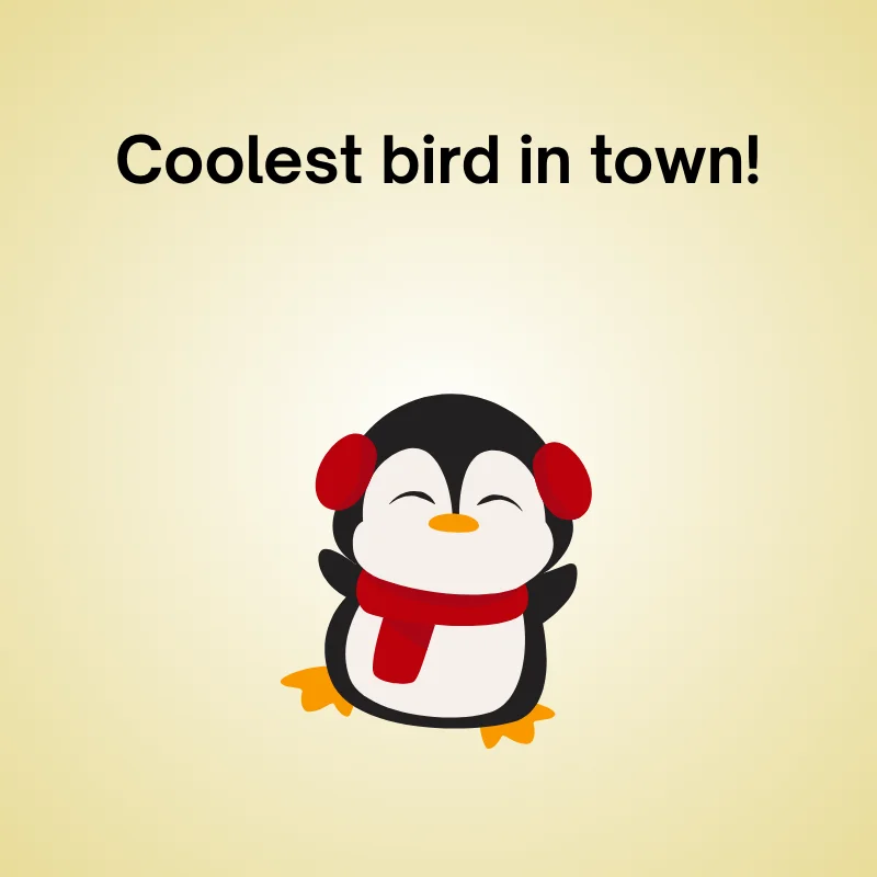 Funny penguin joke: 'Coolest bird in town!'