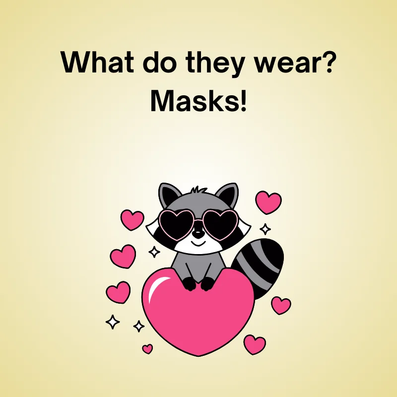 Raccoon in a funny joke: 'What do they wear? Masks!'