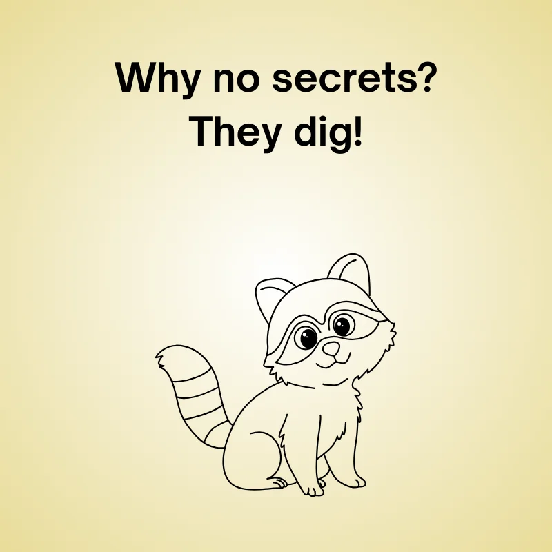 Raccoon joke illustration: 'Why no secrets? They dig!'