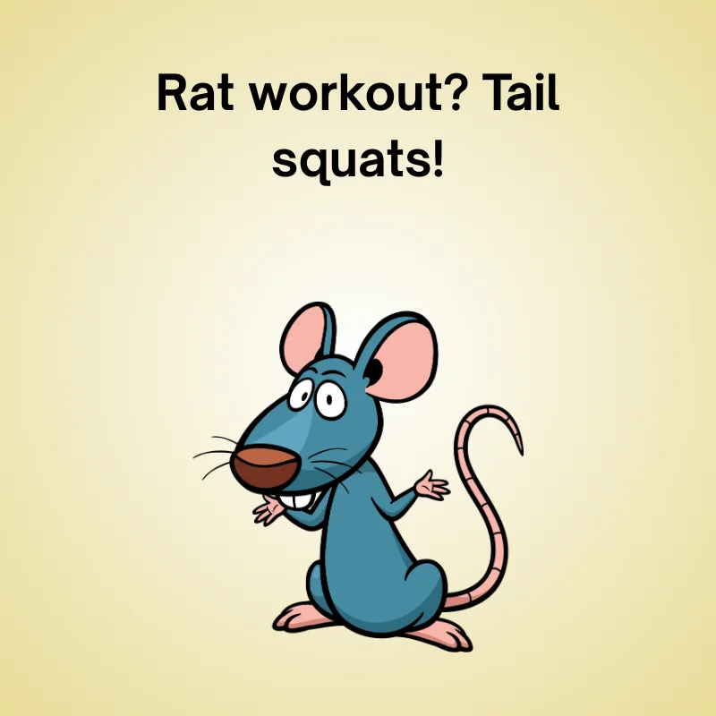 Rat joke illustration: 'Rat workout? Tail squats!'