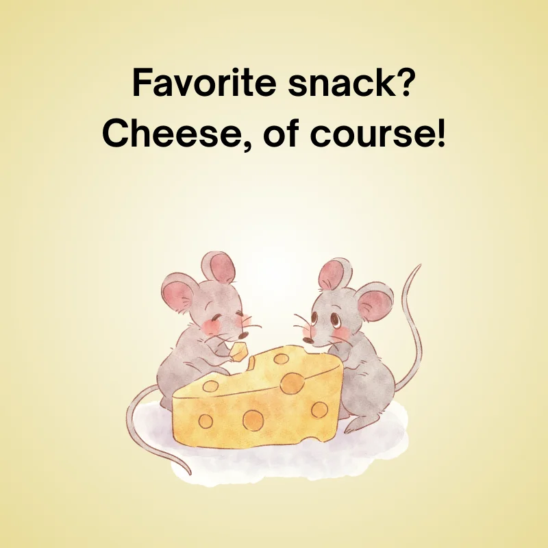 Two rats in a funny joke: 'Favorite snack? Cheese, of course!'