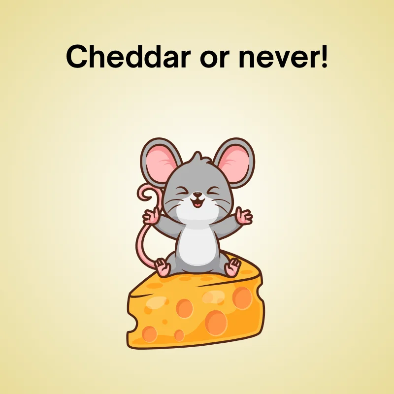 Funny rat pun: 'Cheddar or never!'
