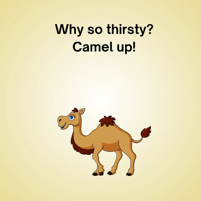 Camel in a funny joke: 'Why so thirsty? Camel up!'
